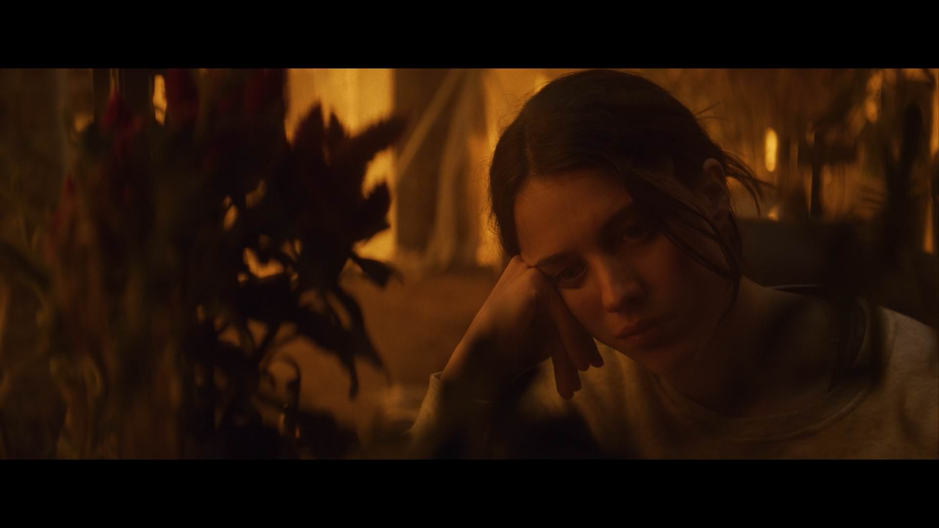 MQO-IO0727.jpg